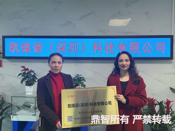 凱銘諾(深圳)科技有限公司.jpg